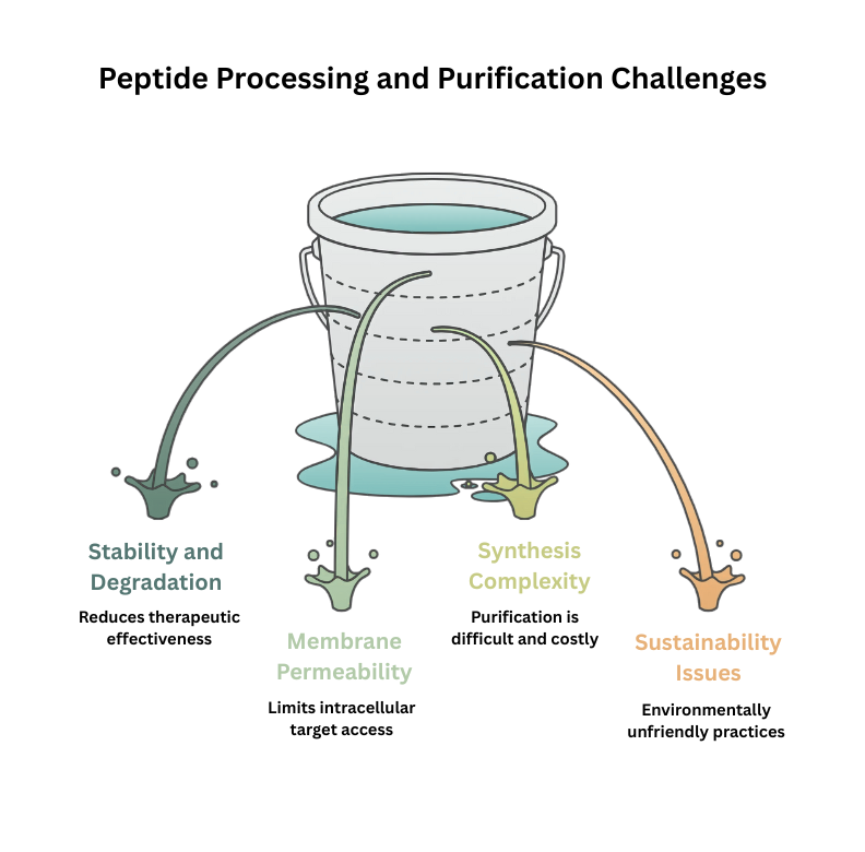 It is an AI-generated infographic showing peptide processing challenges: stability, permeability, synthesis complexity, and sustainability issues.